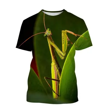 Summer Animal Insect Praying Mantis Grafiniai marškinėliai Hip Hop Street Style 3d Spausdinti lengvi patogūs greitai džiūstantys marškiniai