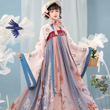 Tangų dinastijos Hanfu suknelė Moterys kinų stiliaus didelėmis rankovėmis gėlių atspaudas Viršutinė gėlių siuvinėta lapė Spausdinti Vientisa suknelė 2vnt